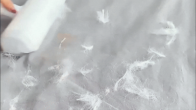 Perie cu absorbție electrostatică, pentru curățarea părului de animale